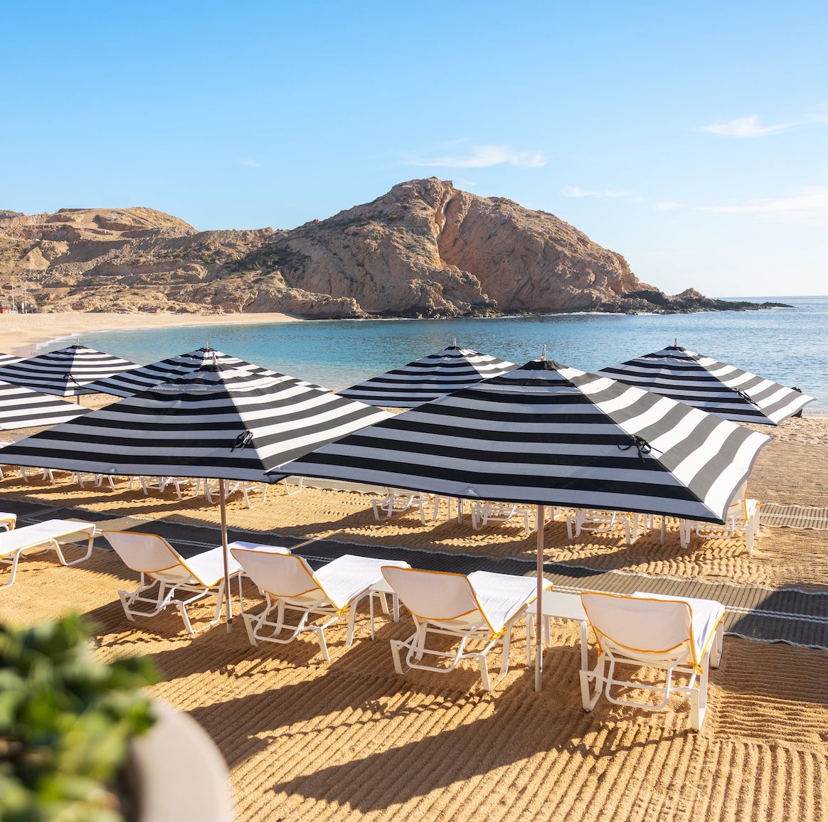 Maravilla Los Cabos — Photo 2