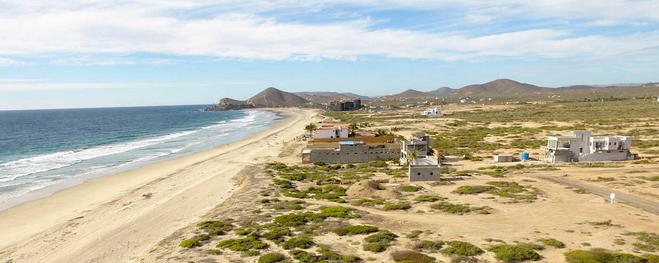 Tortuga del Sol