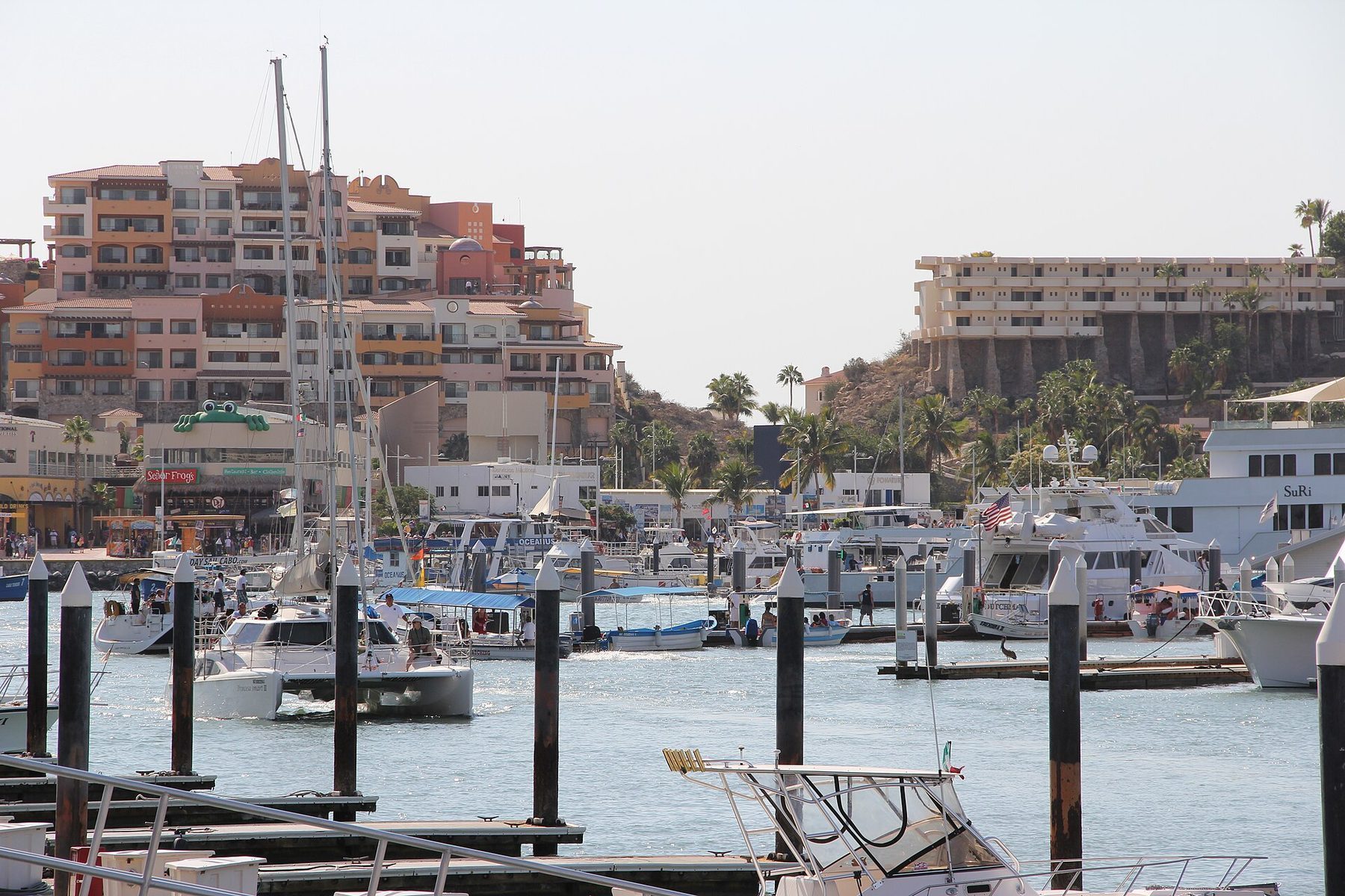 Cabo San Lucas Marina district with luxury yachts and downtown nightlife energy